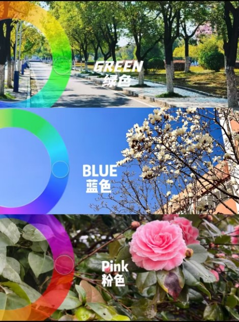 “校园寻色，捕捉生活”——校园Color Walk主题活动招募啦